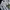Sweatshirt Crewneck Basic Uni3ex Kai-aakm4nn white photo 1