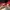 Sweatshirt Crewneck Basic red white w0w  photo 2