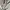 Sweatshirt Crewneck Basic t0pten blue gray 105  photo 4