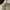 Sweatshirt Crewneck Basic Spa0 White 170 photo 2