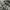 Leather Jacket Kawasaki Ninja Vintage Official Dealer photo 6