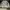 Sweatshirt Crewneck Basic 105 florence & fred  photo 5