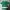 Jersey Home Sporting Lisbon 2023/2024