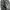 Threefifty Baggy Pants Black photo 2
