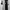 Juve Home 2019-2020 photo 1