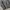 Duno Double zipper Jaket windbreaker  photo 2