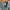 Beverly Hills Polo Club Denim Zip-Up Overshirt Jacket photo 3