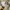 vintage ropehat valero photo 1