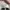 Adidas Casual Sneakers Pria white photo 7