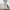 Japanese brand Minimalist Casual Jeans Pria white photo 2