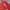 Nike Vintage Y2K T-shirt Pria red photo 2