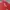Nike Vintage Y2K T-shirt Pria Red