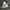 Converse White Size 39 photo 1