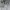 Sweatshirt Crewneck Basic giordan0 gray bleek3r  photo 3