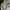 Sweatshirt Crewneck Basic giordan0 gray bleek3r  photo 1