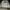 Sweatshirt Crewneck Basic giordan0 gray bleek3r  photo 2