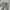 N•Z BAGGY CARGO WASHED JEANS  photo 3