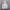Tracktop hoodie under Armour photo 1