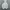 Tracktop hoodie under Armour photo 2