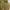Columbia Inner Puffer Jacket Full Zipper Gold photo 2