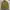 Columbia Inner Puffer Jacket Full Zipper Gold photo 1