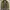 Columbia Inner Puffer Jacket Full Zipper Gold photo 4