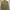 Columbia Inner Puffer Jacket Full Zipper Gold photo 8