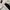 Vision Street Wear Puffer Jacket Hooded Two tone photo 3