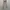 Celana Dickies 874 FLEX photo 4