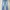 Levi’s 527 Low Bootcut Jeans photo 1
