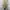 Authentic Annarita N Women Midi Dress photo 3