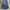 (32X29) 2013s Levi's 00505-4886 Straight Leg photo 3
