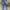 (32X29) 2013s Levi's 00505-4886 Straight Leg photo 2