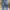 (32X29) 2013s Levi's 00505-4886 Straight Leg