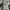 (32X28) 2022s Levi's 00505-2540 Straight Leg photo 4