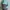CARHARTT WIP NYMBUS TWOTONE JACKET ANORAK WINDBREAKER