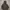 Anorak Jacket Zara Man
