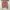 Casual Reworked Crop top Wanita white red photo 4