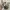 Realtre Hat, Marine Tage from k&s  photo 5