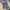 LEVI'S 505 photo 2