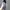 FLAT SHOES photo 4