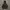 Adidas Juventus 2018 Windbreaker Jacket photo 1