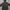 Adidas Juventus 2018 Windbreaker Jacket photo 4