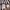 Cardigan Thom Brown  photo 7