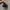 Massimo Dutti Penny Loafers Dark Brown photo 6