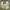 Miss sixty anime photo 3