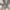 Realtre Hat, Altec , Tage from otto photo 9