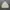 Umbro Pro Training Windbreaker Jacket photo 1