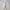 Celana Carpenter Pants Smith Khaki Washed photo 5