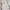 Celana Carpenter Pants Smith Khaki Washed photo 6